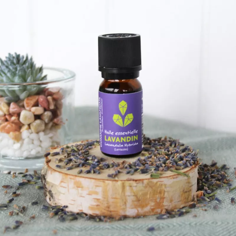 Essential Oil of Lavandin Dropper 10 ml Shop